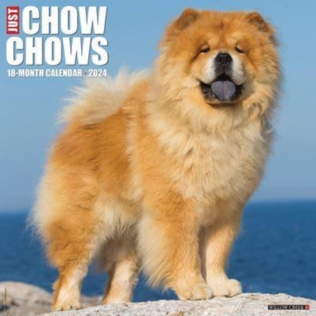 Just Chow Chows 2024 12 X 12 Wall Calendar