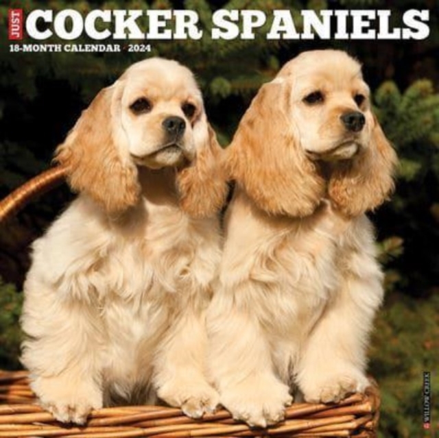 Just Cocker Spaniels 2024 12 X 12 Wall Calendar