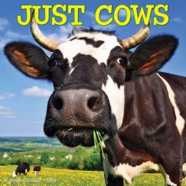 Just Cows 2024 12 X 12 Wall Calendar