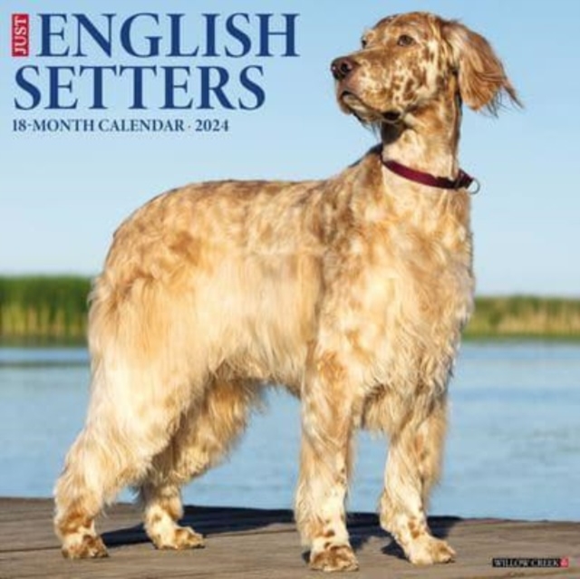 Just English Setters 2024 12 X 12 Wall Calendar