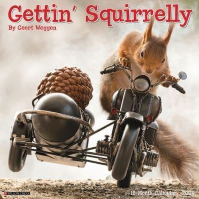 Gettin' Squirrelly 2024 12 X 12 Wall Calendar