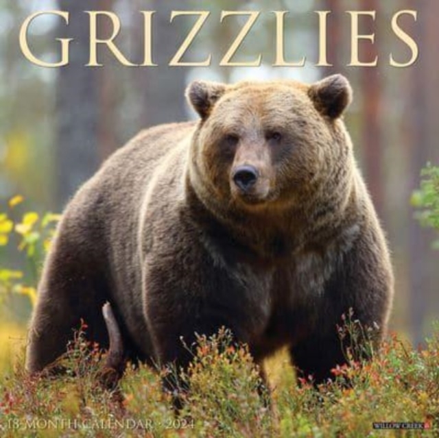 Grizzlies 2024 12 X 12 Wall Calendar