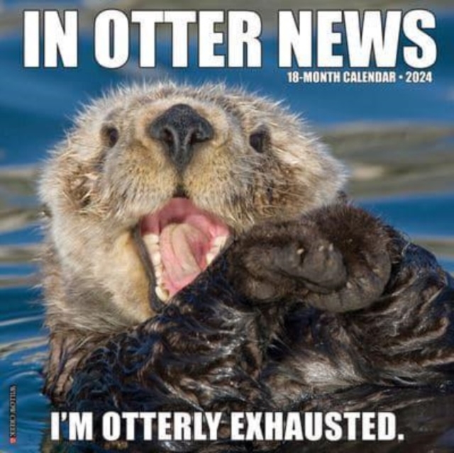 In Otter News 2024 12 X 12 Wall Calendar