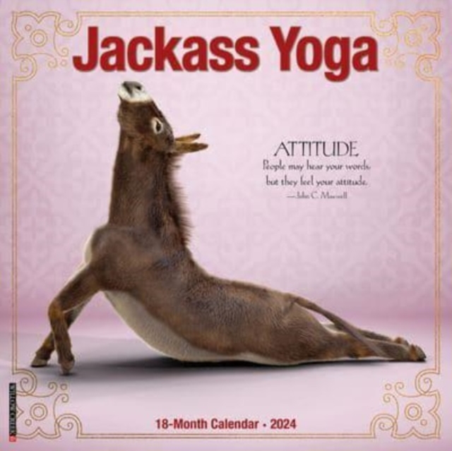 Jackass Yoga 2024 12 X 12 Wall Calendar