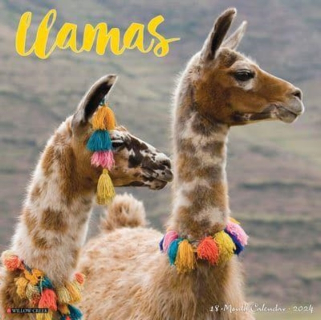 Llamas 2024 12 X 12 Wall Calendar