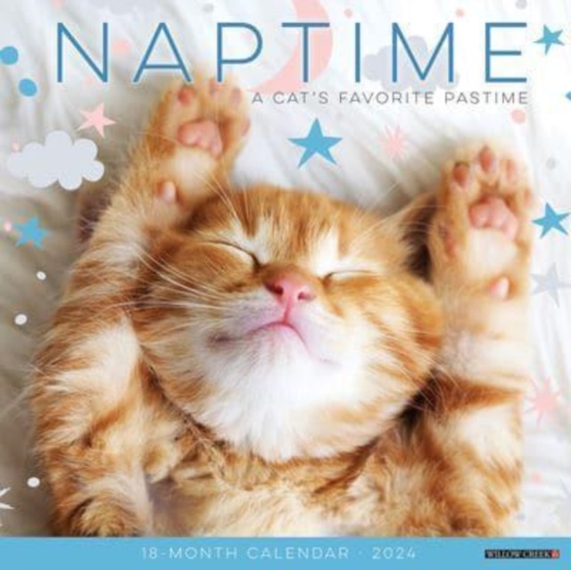 Naptime (Cats) 2024 12 X 12 Wall Calendar