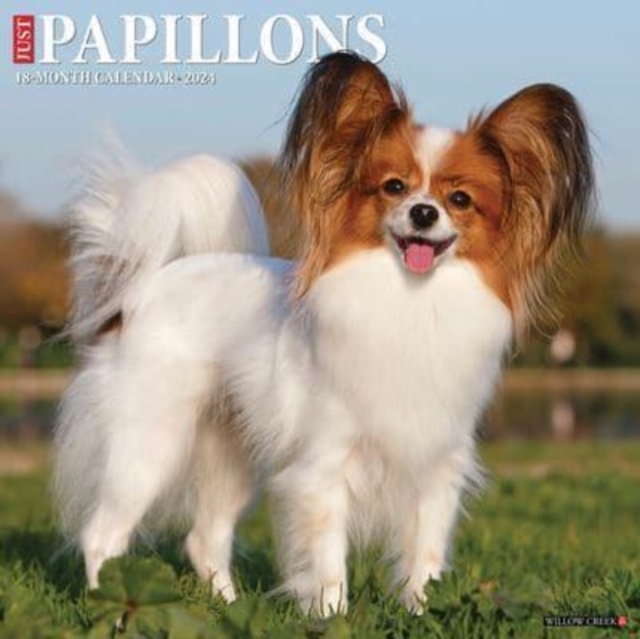 Just Papillons 2024 12 X 12 Wall Calendar