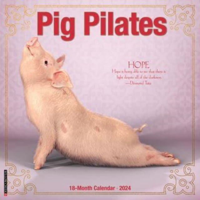 Pig Pilates 2024 12 X 12 Wall Calendar