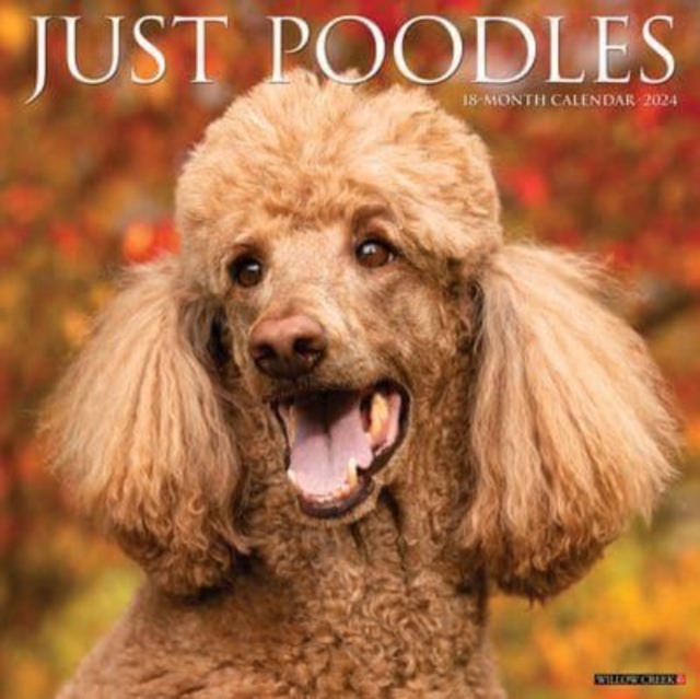 Just Poodles 2024 12 X 12 Wall Calendar