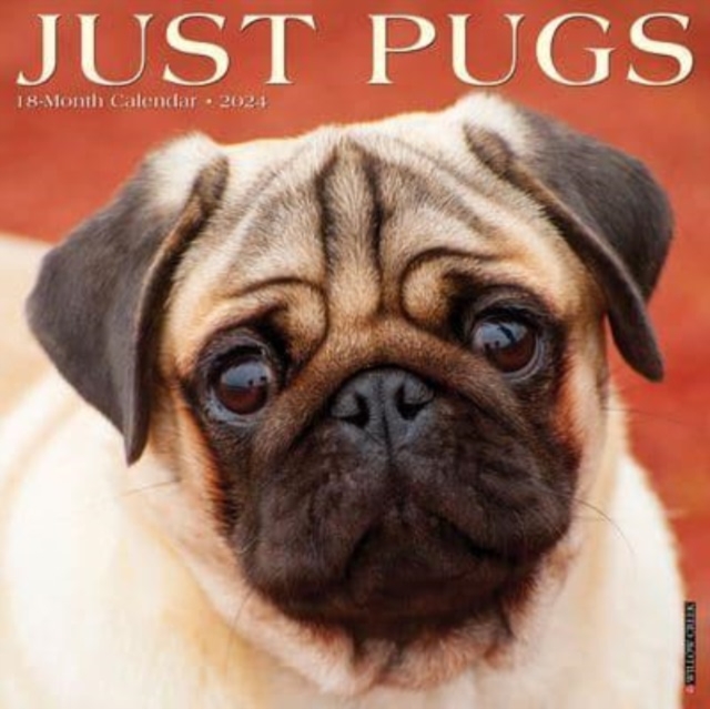 Just Pugs 2024 12 X 12 Wall Calendar