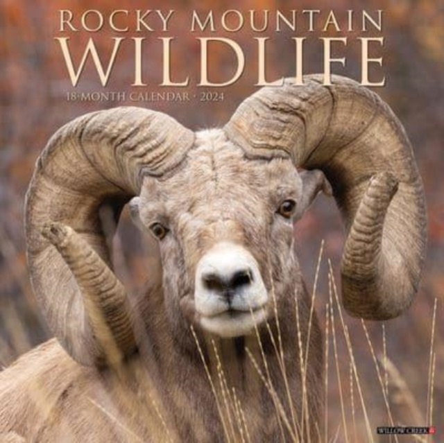 Rocky Mountain Wildlife 2024 12 X 12 Wall Calendar