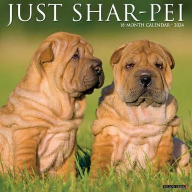 Just Shar-Peis 2024 12 X 12 Wall Calendar