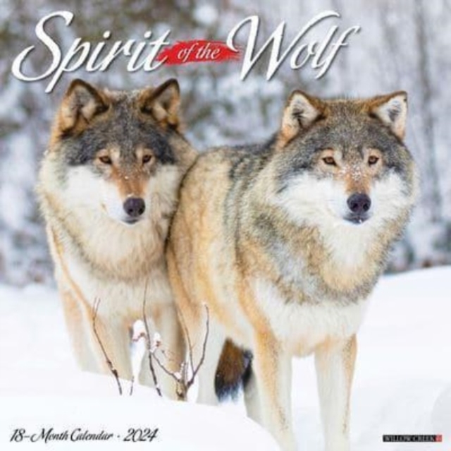 Spirit of the Wolf 2024 12 X 12 Wall Calendar