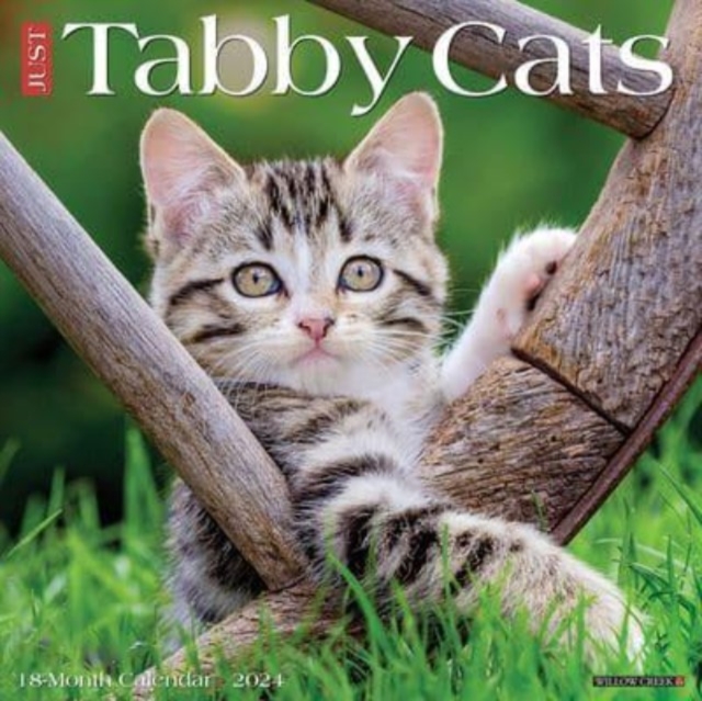 Just Tabby Cats 2024 12 X 12 Wall Calendar