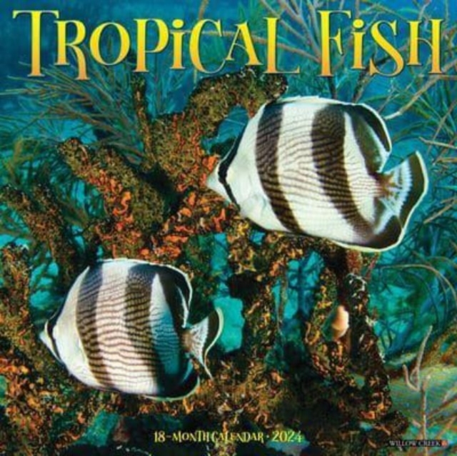 Tropical Fish 2024 12 X 12 Wall Calendar