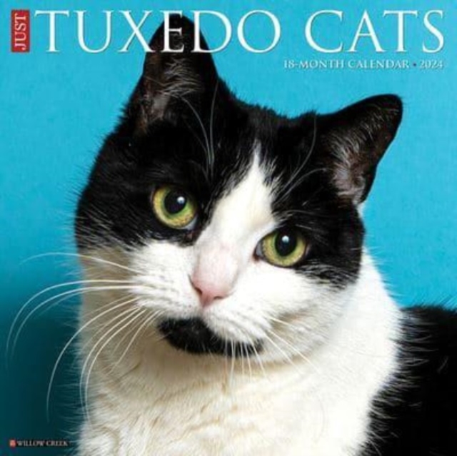 Just Tuxedo Cats 2024 12 X 12 Wall Calendar