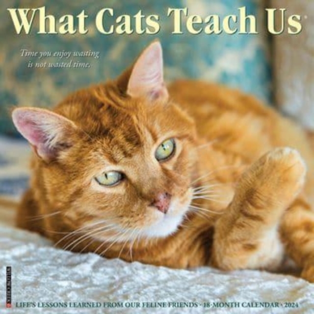 What Cats Teach Us 2024 12 X 12 Wall Calendar