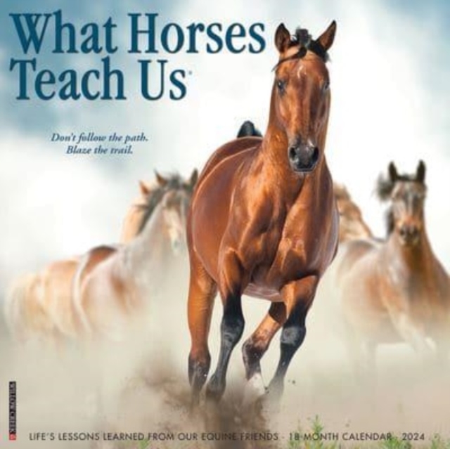 What Horses Teach Us 2024 12 X 12 Wall Calendar