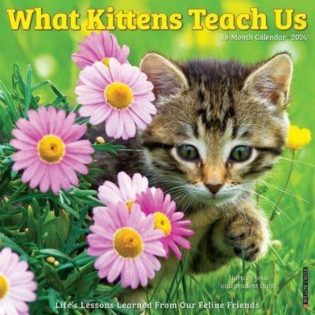 What Kittens Teach Us 2024 12 X 12 Wall Calendar