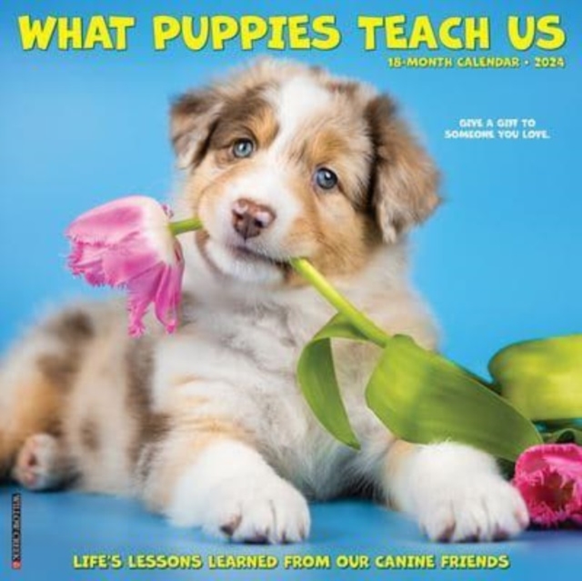 What Puppies Teach Us 2024 12 X 12 Wall Calendar