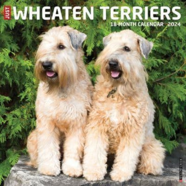 Just Wheaton Terriers 2024 12 X 12 Wall Calendar