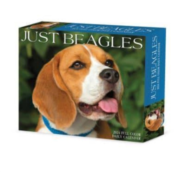 Beagles 2024 6.2 X 5.4 Box Calendar