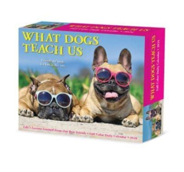 What Dogs Teach Us 2024 6.2 X 5.4 Box Calendar