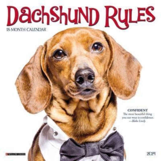 Dachshund Rules 2024 7 X 7 Mini Wall Calendar