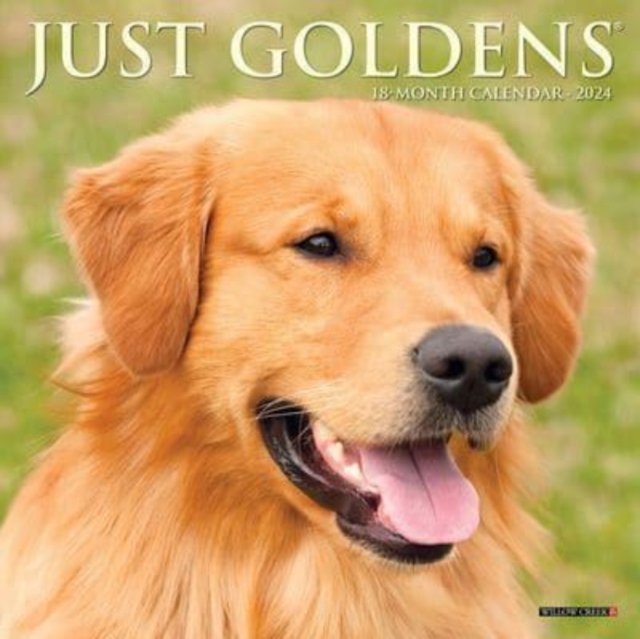 Just Goldens 2024 7 X 7 Mini Wall Calendar