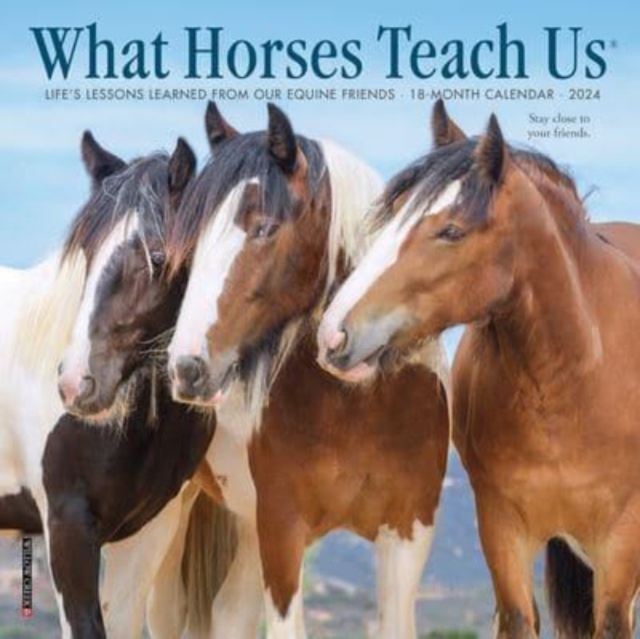 What Horses Teach Us 2024 7 X 7 Mini Wall Calendar