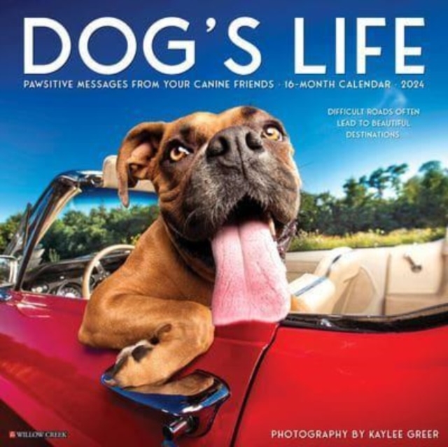 Dog's Life 2024 12 X 12 Wall Calendar