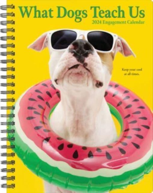 What Dogs Teach Us 2024 6.5 X 8.5 Engagement Calendar