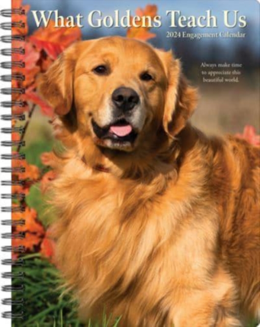 What Goldens Teach Us 2024 6.5 X 8.5 Engagement Calendar