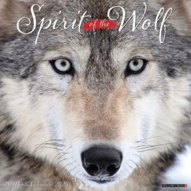 Spirit of the Wolf 2025 12 X 12 Wall Calendar