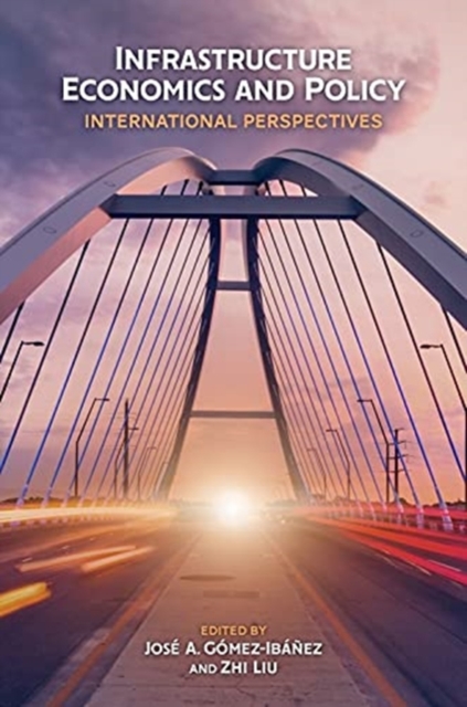 Infrastructure Economics and Policy - International Perspectives