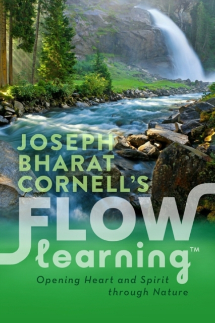 Flow Learning