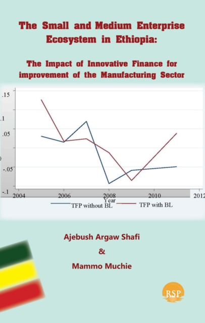 Small And Medium Enterprise Ecosystem In Ethiopia