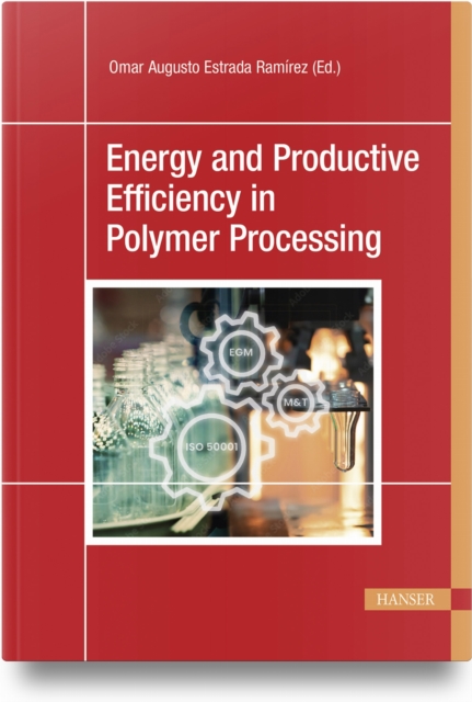 Energy and Productive Efficiency in Polymer Processing