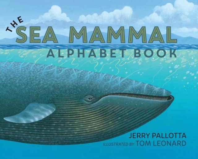 Sea Mammal Alphabet Book