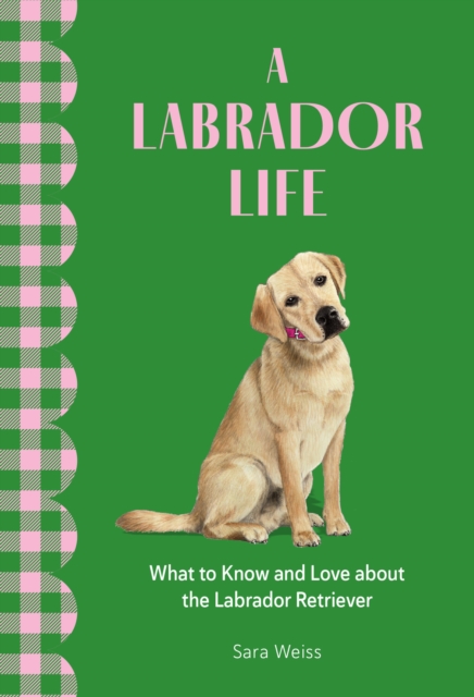 A Labrador Life