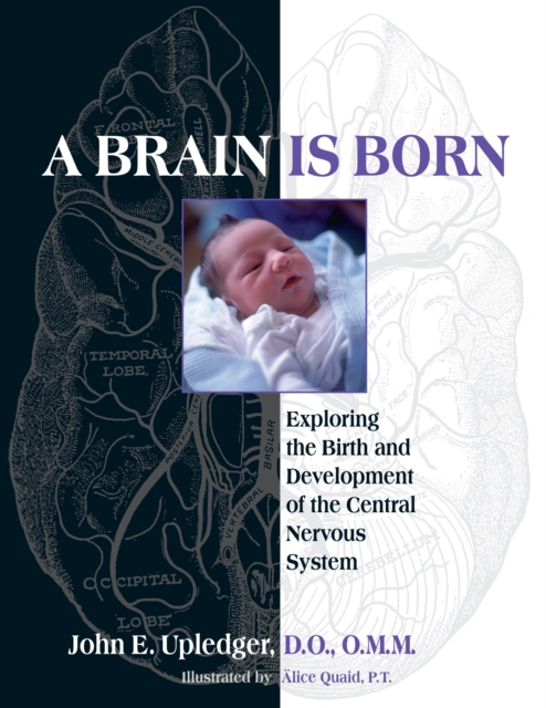 Brain Is Born