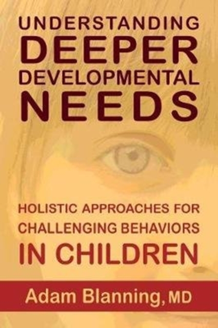 Understanding Deeper Developmental Needs