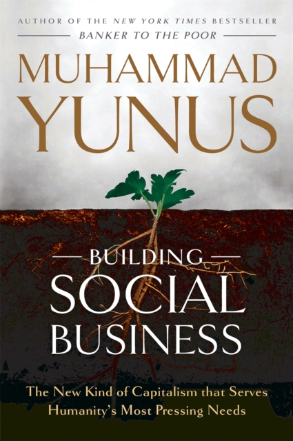 Building Social Business
