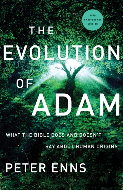 Evolution of Adam