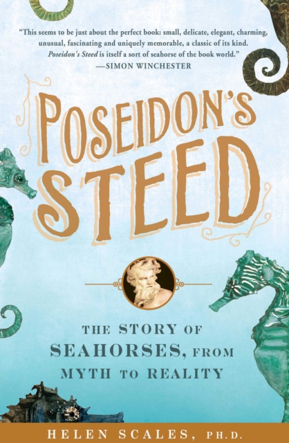 Poseidon's Steed