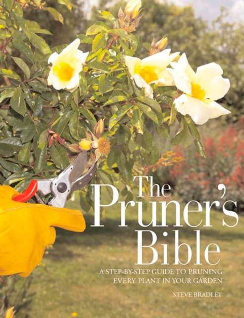 Pruner's Bible