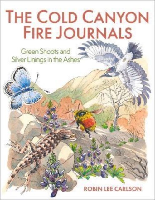 Cold Canyon Fire Journals
