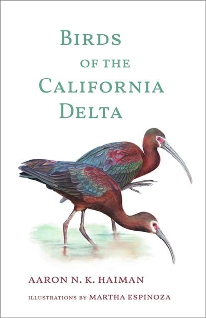 Birds of the California Delta