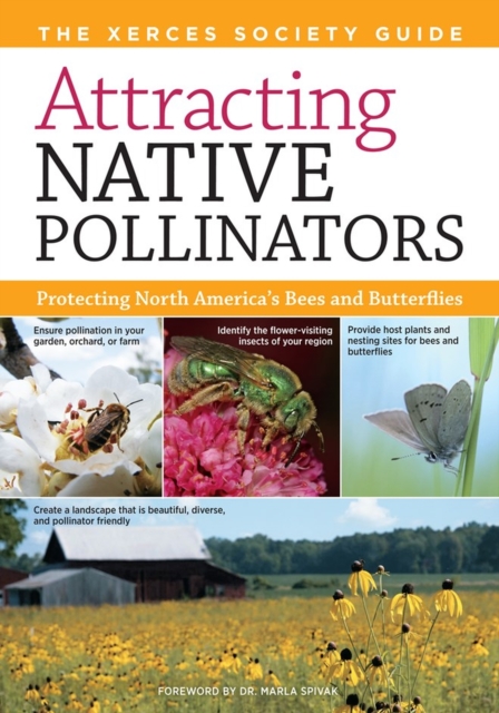 Attracting Native Pollinators