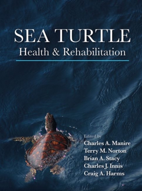 Sea Turtle Health and Rehabilitation